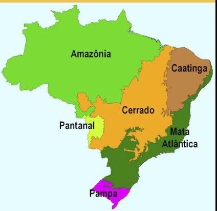 Mapa de Biomas do Brasil